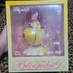 Mega Space Molly 100% Blooming Anggrek Bulan-Indonesia